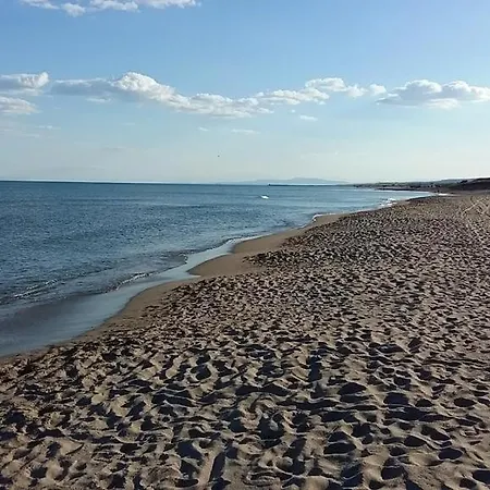 Horizon Bleu